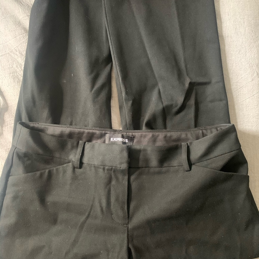 Express Editor Pants
